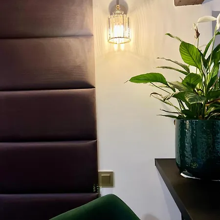 Le Petit Carlthon Apartman Cannes