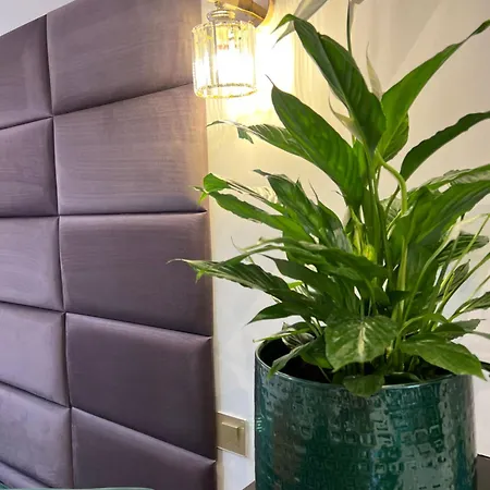 Appartement Le Petit Carlthon Cannes